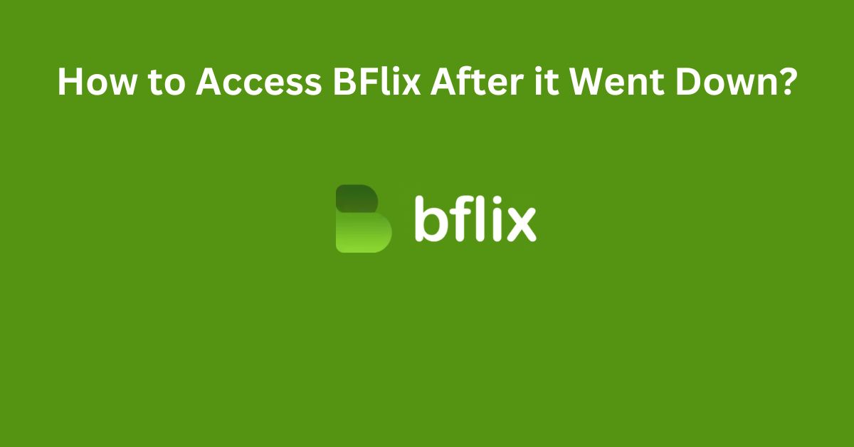 How to Access BFlix After it Went Down?